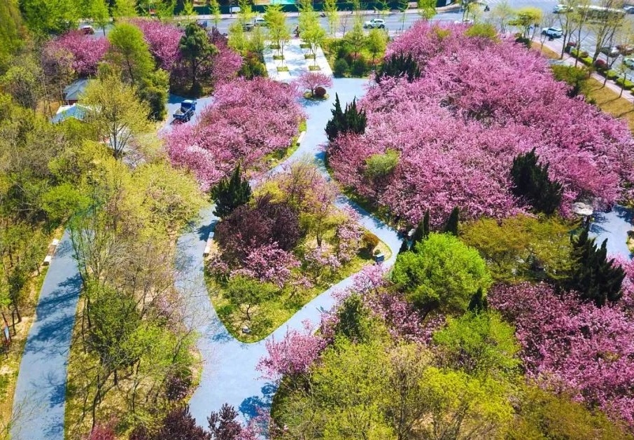 Sakura Garden Pump Station and Interception Well Project